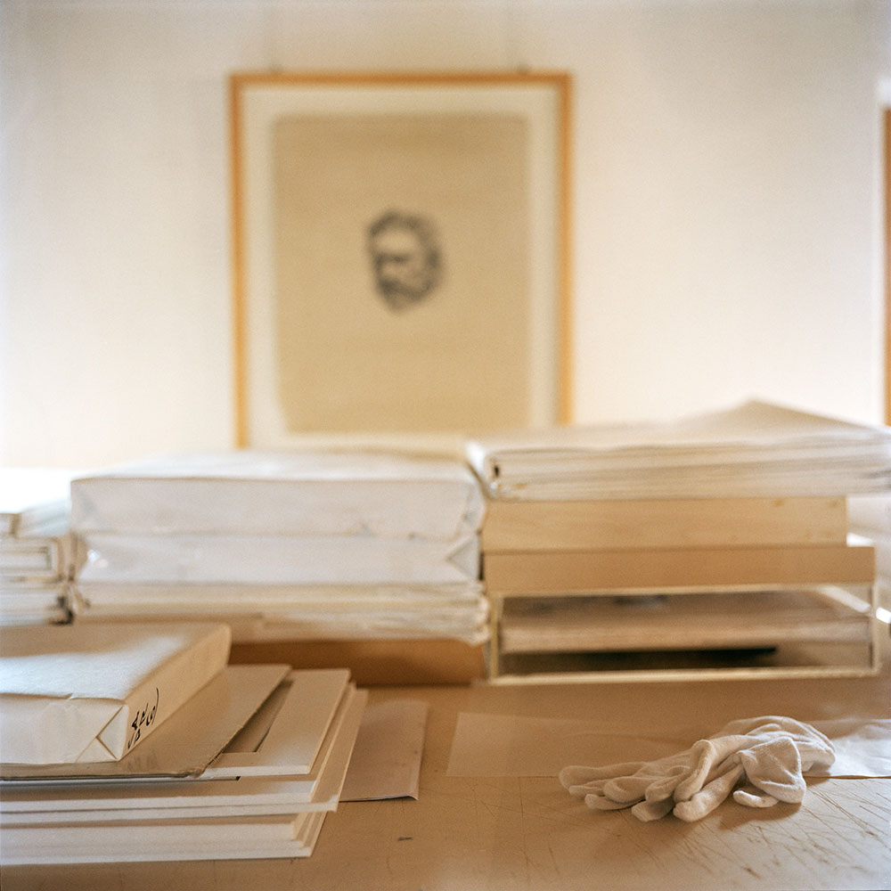 Colophonarte, Belluno